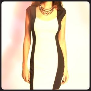 Worthigton Bodycon Dress